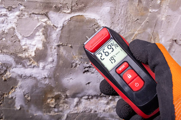 Best Mold Damage Repair  in Meyersdale, PA
