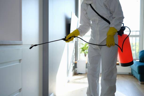 Best Emergency Mold Removal  in Meyersdale, PA