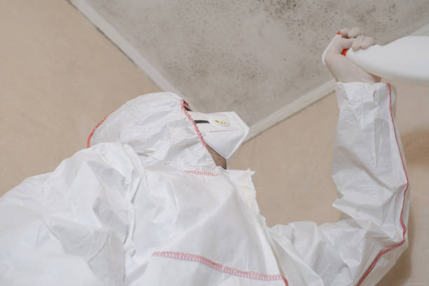 Best Mold Testing  in Meyersdale, PA